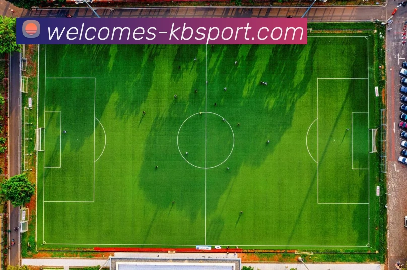 KB体育官网APP 封面图